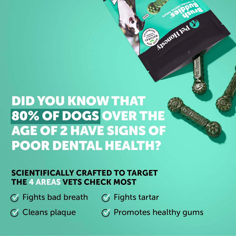 Haleine fraîche du chien avec Brush Buddies menthe et persil
