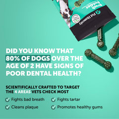 Haleine fraîche du chien avec Brush Buddies menthe et persil