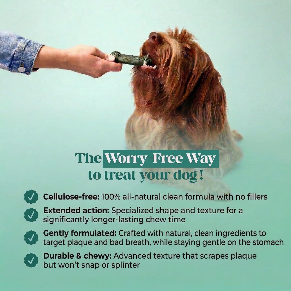 Pet Honesty Brush Buddies – sans additifs artificiels et sans cellulose.