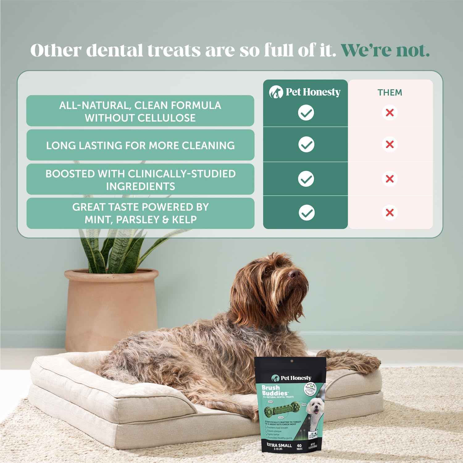 Pet Honesty Brush Buddies sans cellulose – formule naturelle.