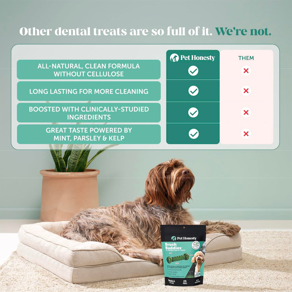 Pet Honesty Brush Buddies – texture douce et facile à mâcher pour petits chiens.