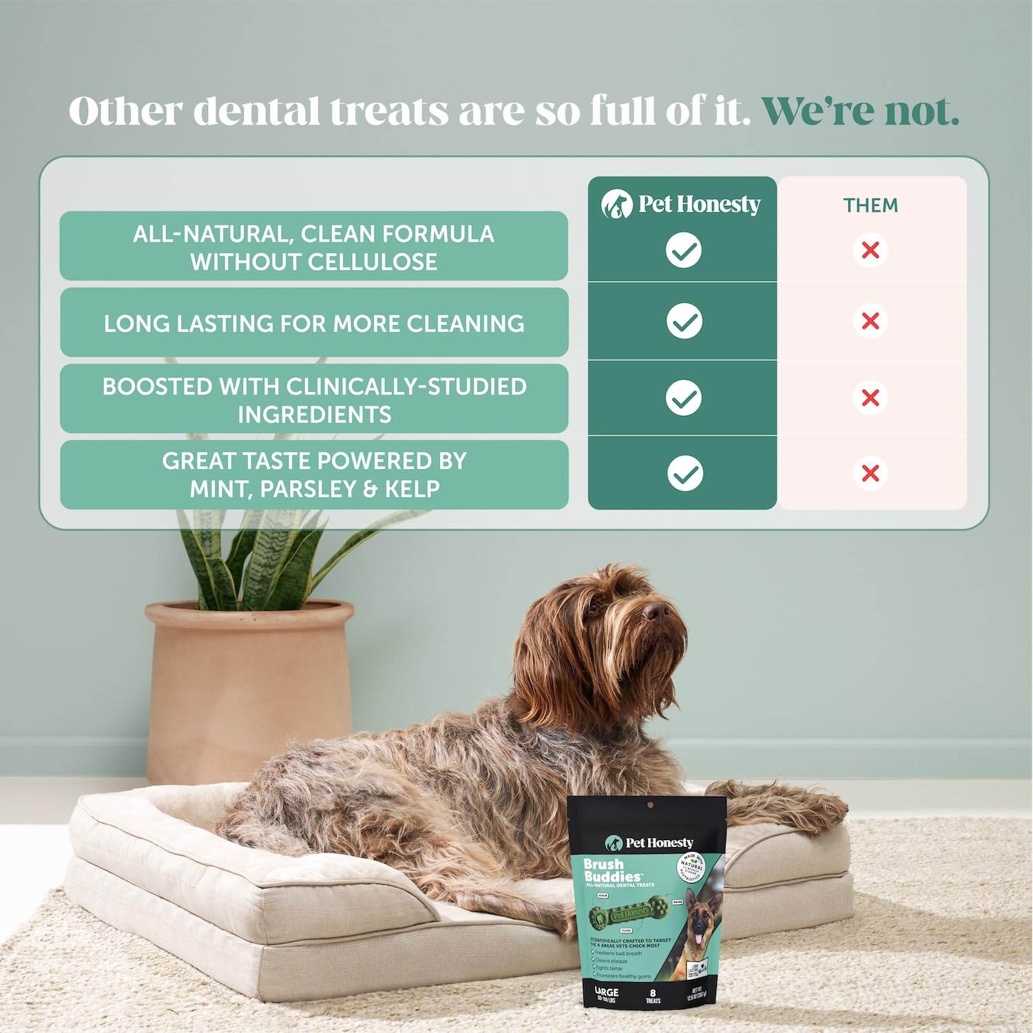 Utilisation quotidienne simple pour chien calme pendant le partage.