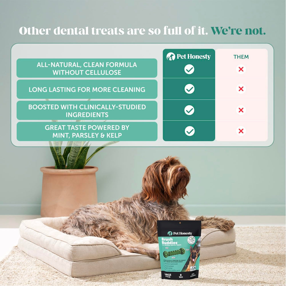 Utilisation quotidienne simple pour chien calme pendant le partage.