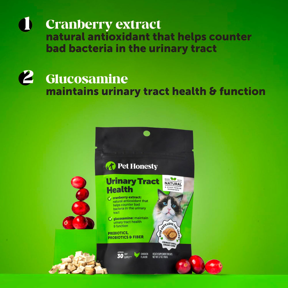 Pet Honesty Chat Cranberry - antioxydants naturels soutenant la sante vessie.
