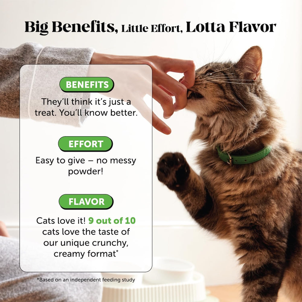 Pet Honesty – goût délicieux très apprécié par de nombreux chats.