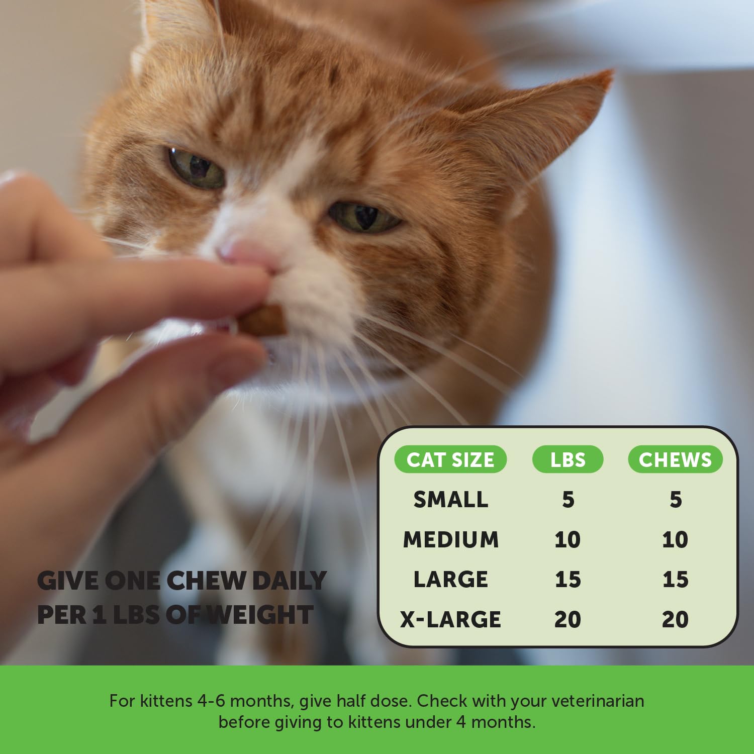 Pet Honesty chat probiotiques - soutien immunitaire et bien-être