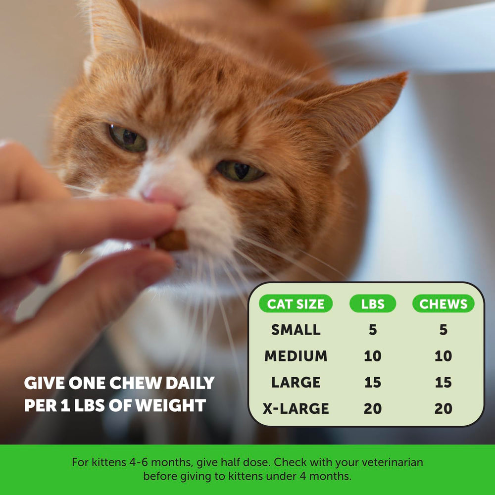 Pet Honesty Chat Ingredients Naturels - orge et riz riches et digestibles.