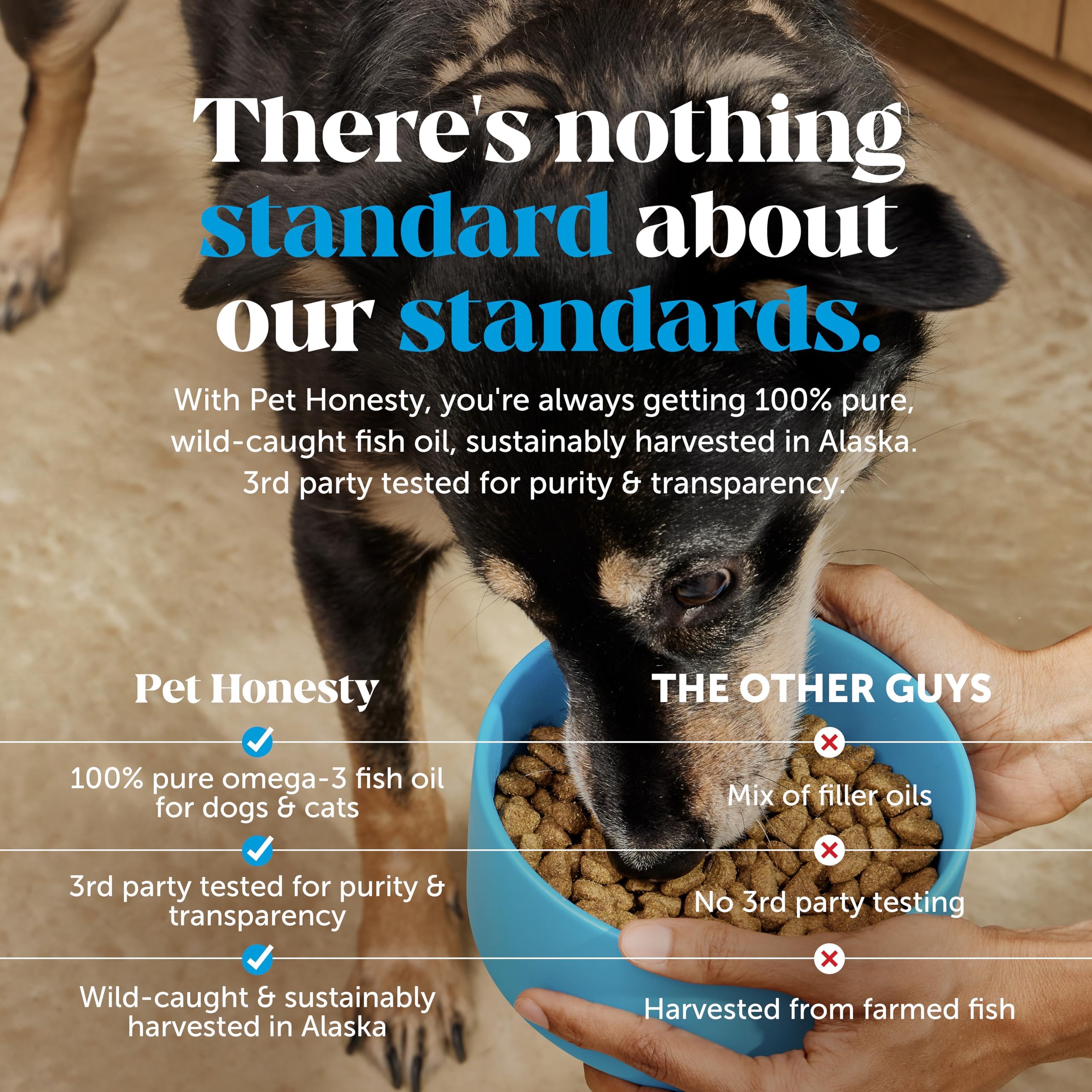 Pet Honesty montre un chien actif après l'utilisation de l'huile.