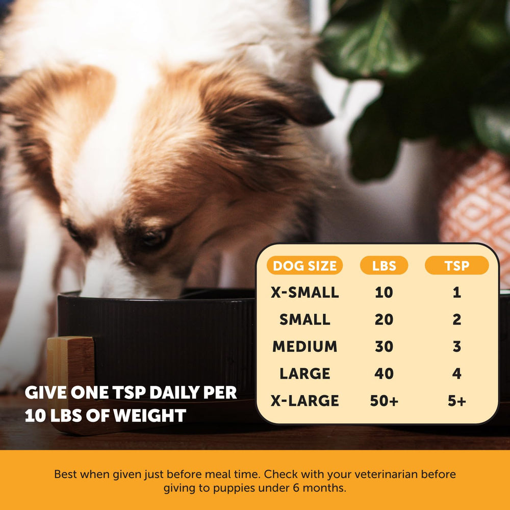 Pet Honesty huile saumon pour chien - pelage brillant après utilisation.