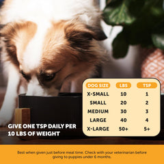 Pet Honesty huile saumon pour chien - pelage brillant après utilisation.