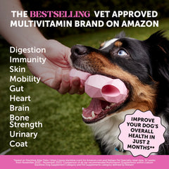 Pet Honesty – comprimés pour chien saveur poulet, apport quotidien savoureux.