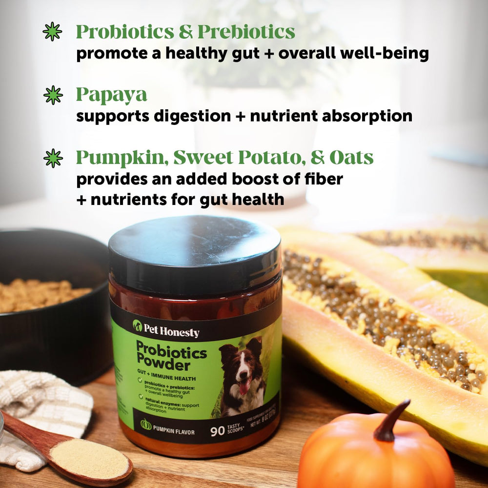 Pet Honesty enzymes poudre digestion, aide à l’absorption des nutriments.