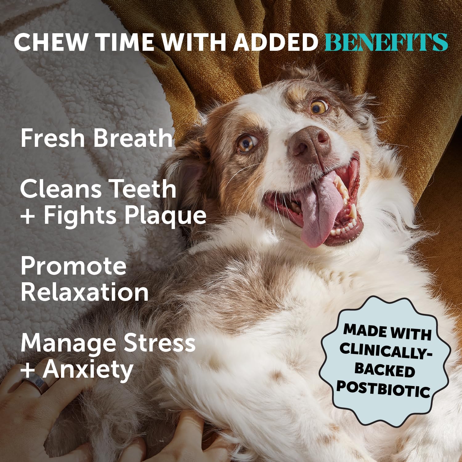 Bâtonnet Pet Honesty pour haleine fraîche et dents propres, saveur cannelle-beurre de cacahuète.