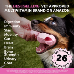 Friandises Pet Honesty pour chiens avec glucosamine, soutien articulations.