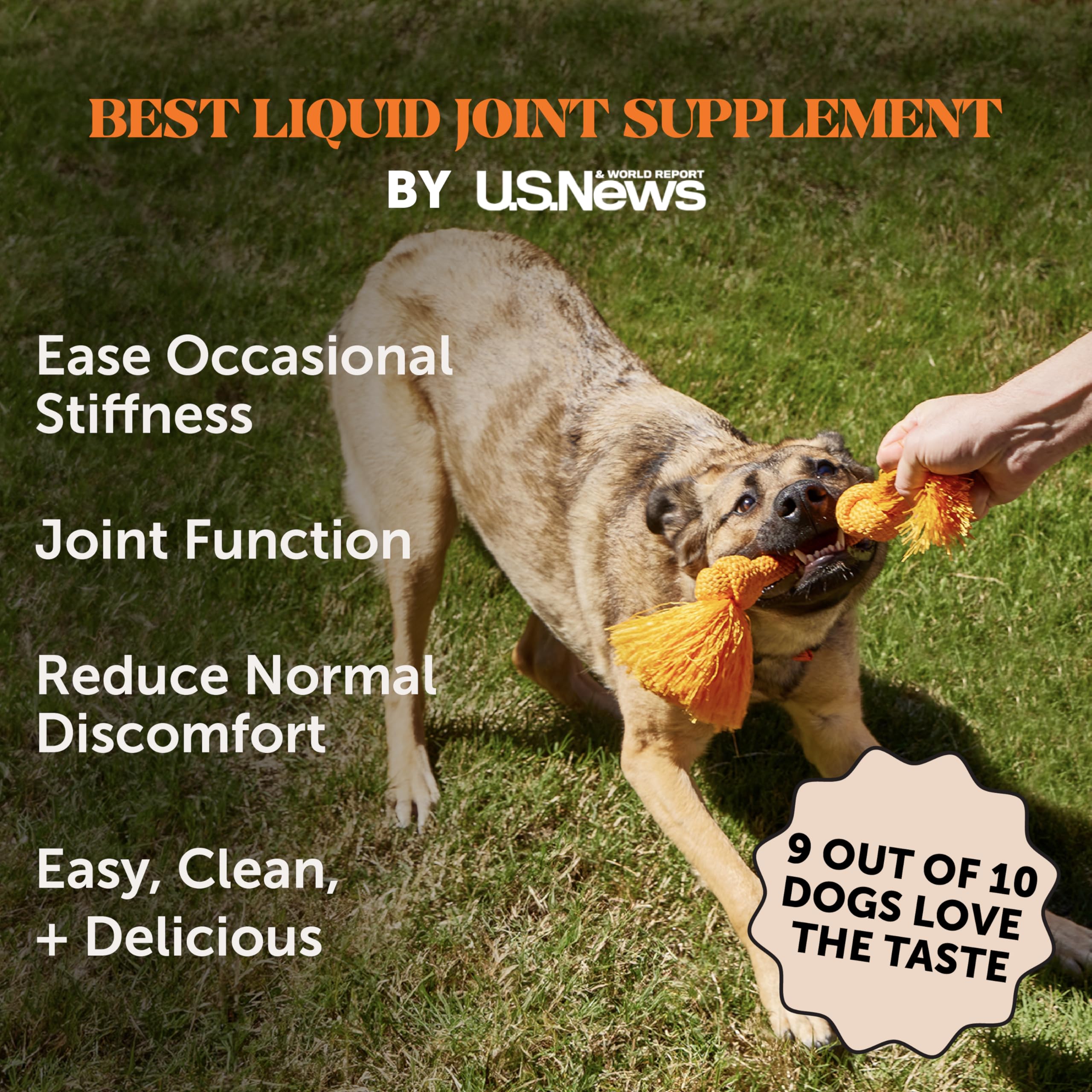 Pet Honesty glucosamine chondroïtine, ingrédient clé pour les articulations et la flexibilité.