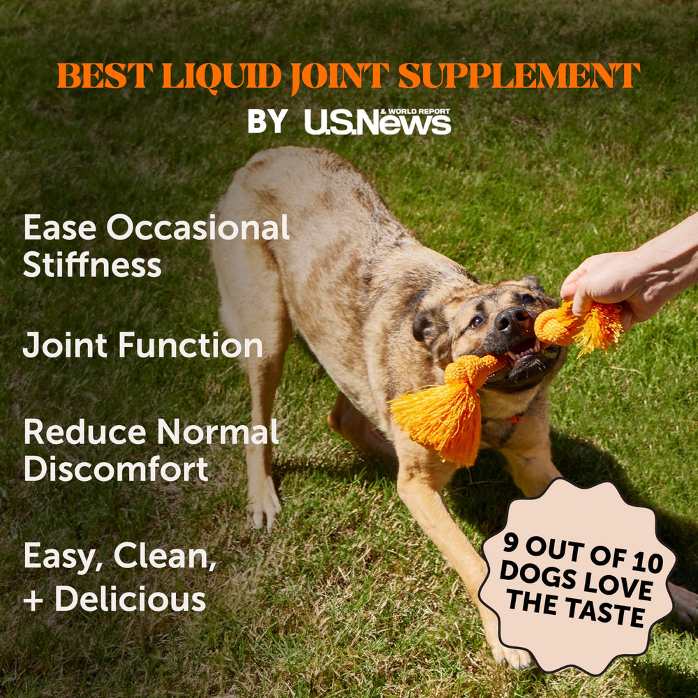 Pet Honesty glucosamine chondroïtine, ingrédient clé pour les articulations et la flexibilité.