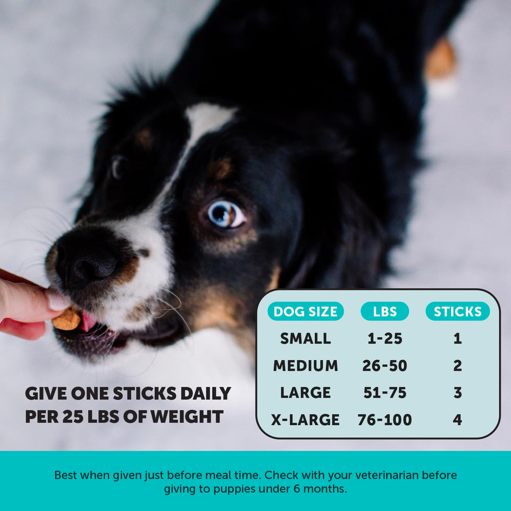 Goût cannelle et beurre de cacahuète apprécié par les chiens, Pet Honesty.