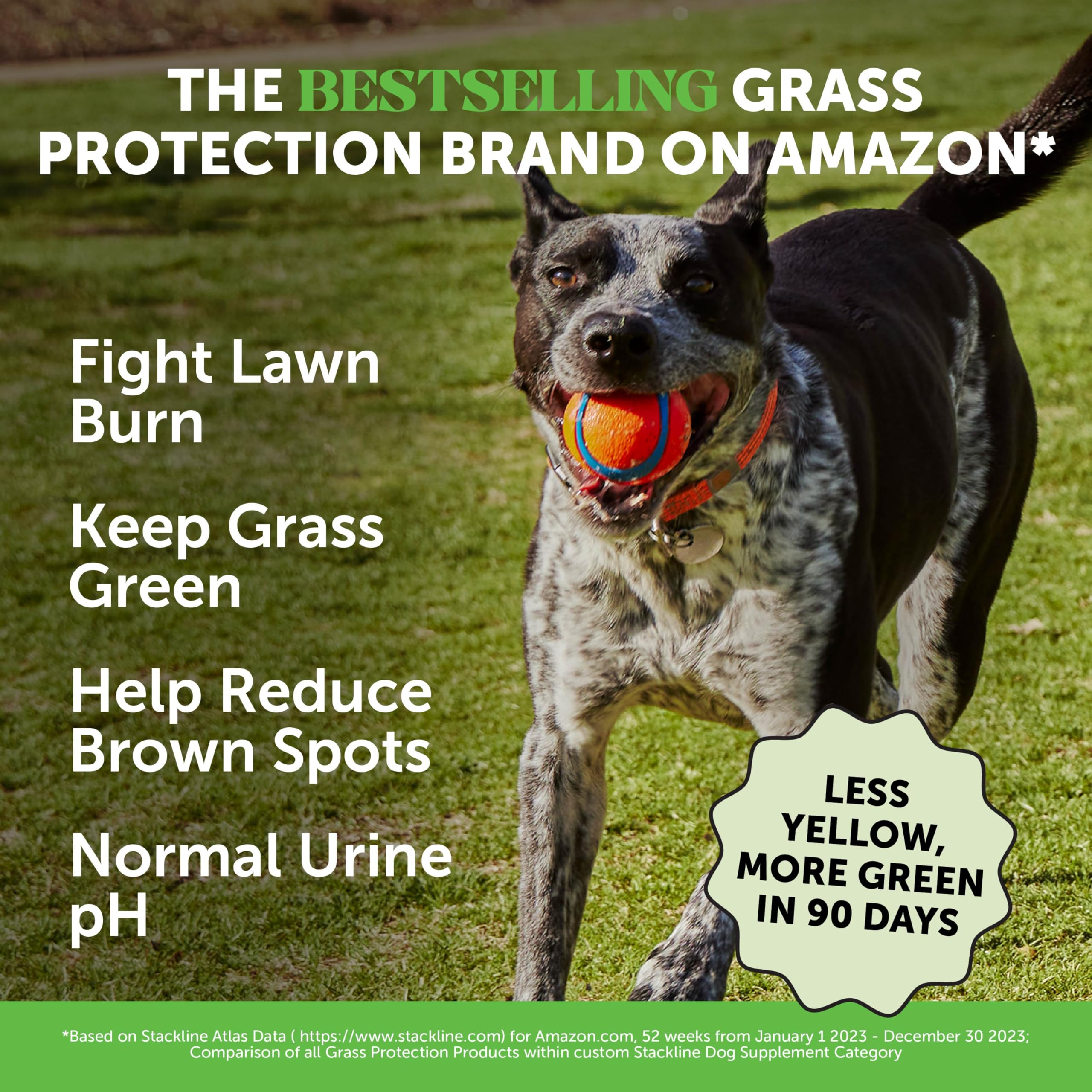 Pet Honesty Grass Green – Ingrédient dl-methionine: équilibre du pH urinaire.