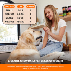 Ingrédients principaux Pet Honesty Hip et Joint Soft Chews – glucosamine et curcuma