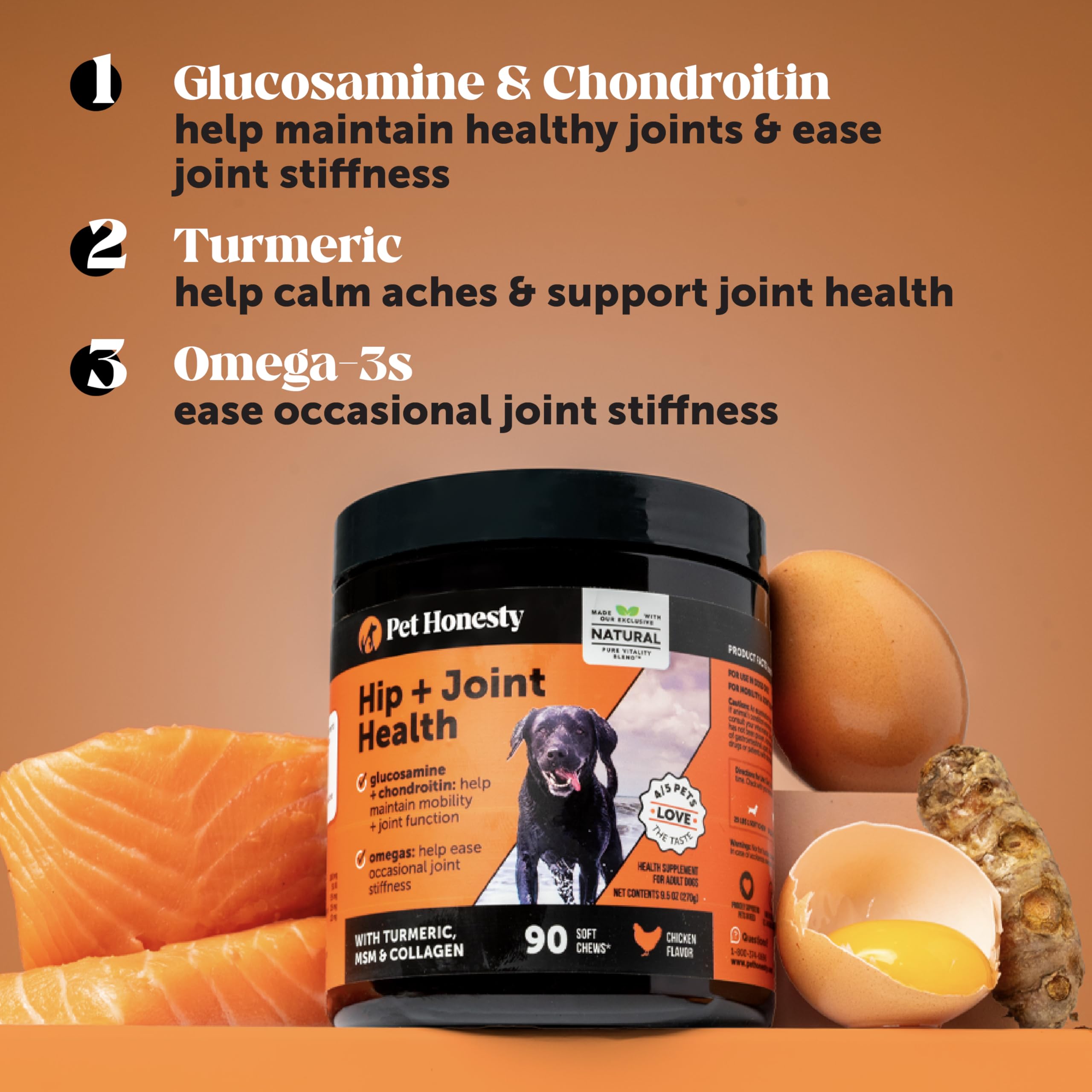 Chien actif avec Pet Honesty Hip et Joint Soft Chews en portrait