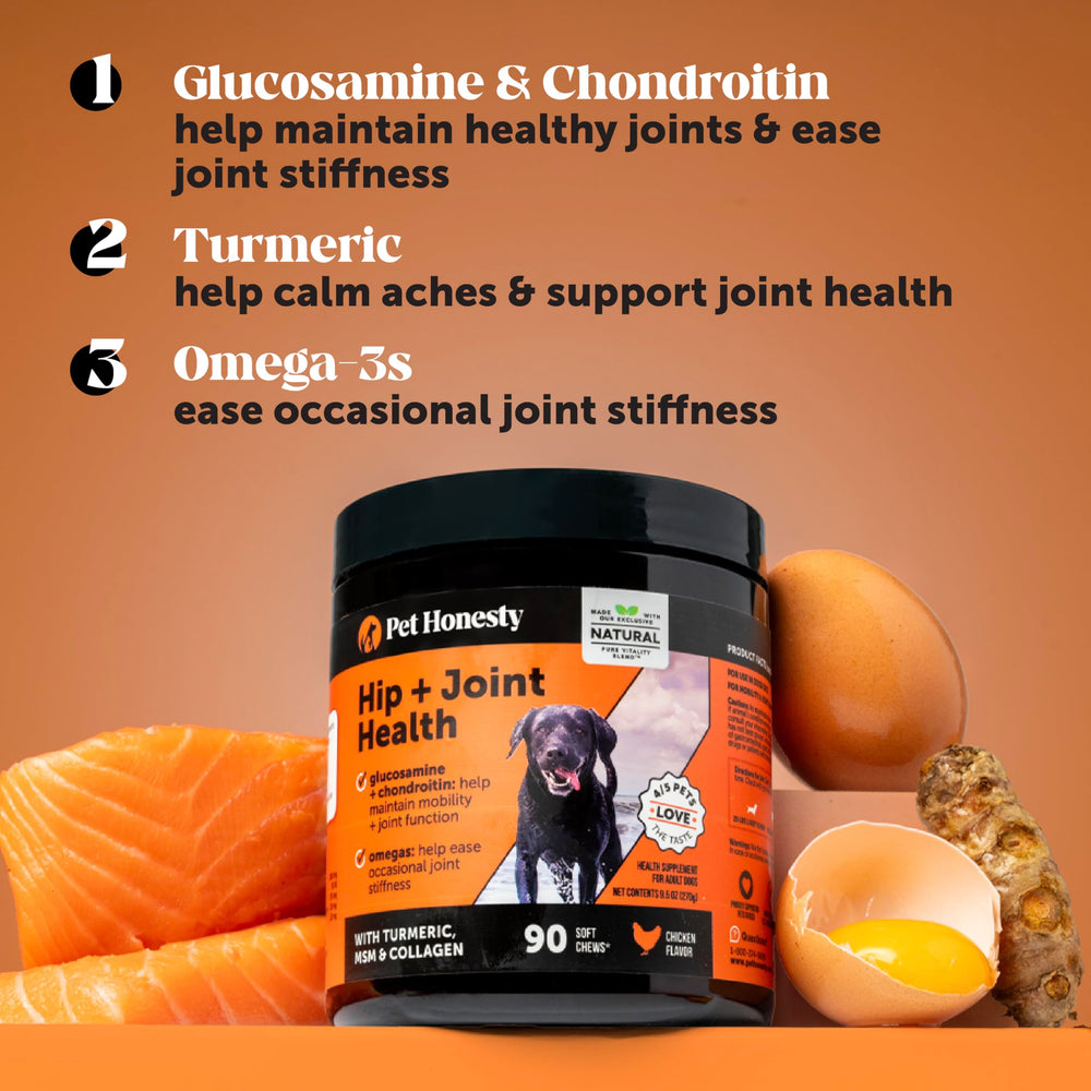 Chien actif avec Pet Honesty Hip et Joint Soft Chews en portrait