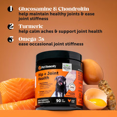 Chien actif avec Pet Honesty Hip et Joint Soft Chews en portrait