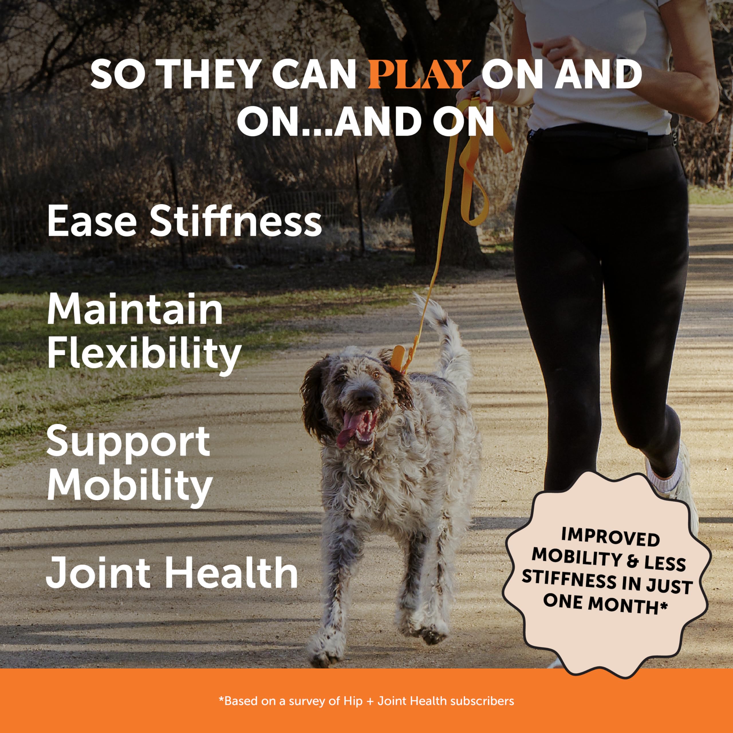 Texture des gommes Pet Honesty Hip et Joint pour une routine quotidienne agréable