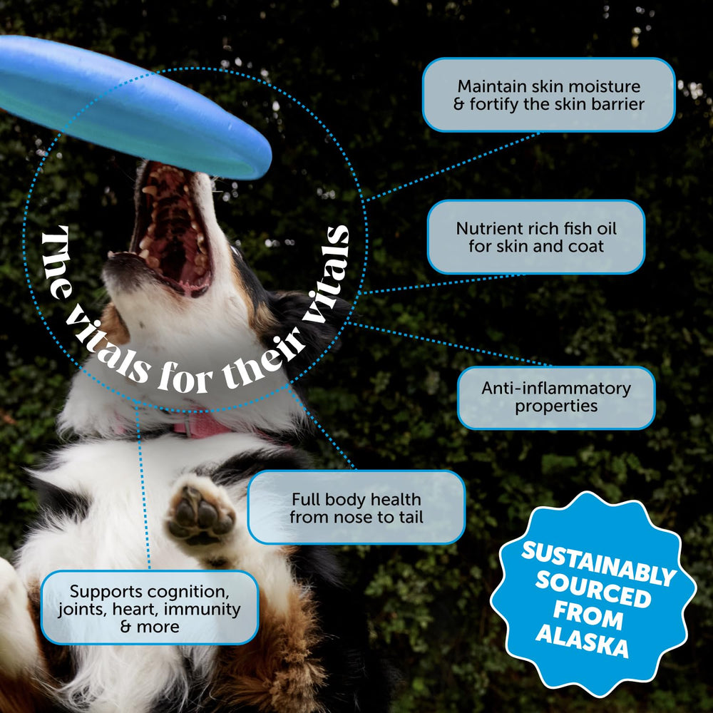 Pet Honesty huile saumon d’Alaska avec pipette-doseuse pratique.