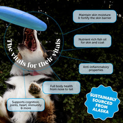Pet Honesty huile saumon d’Alaska avec pipette-doseuse pratique.