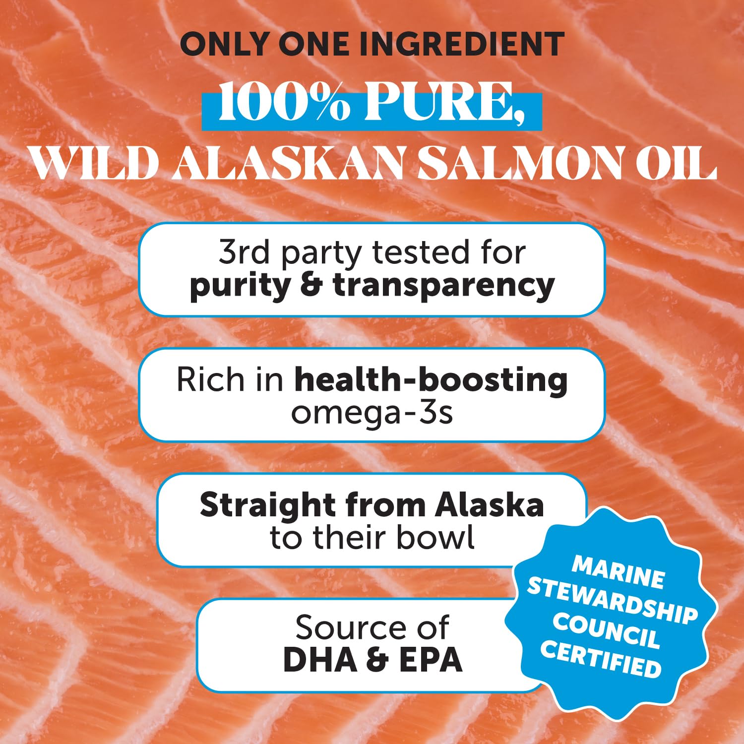 Pelage brillant grâce à l’huile saumon Pet Honesty d’Alaska.