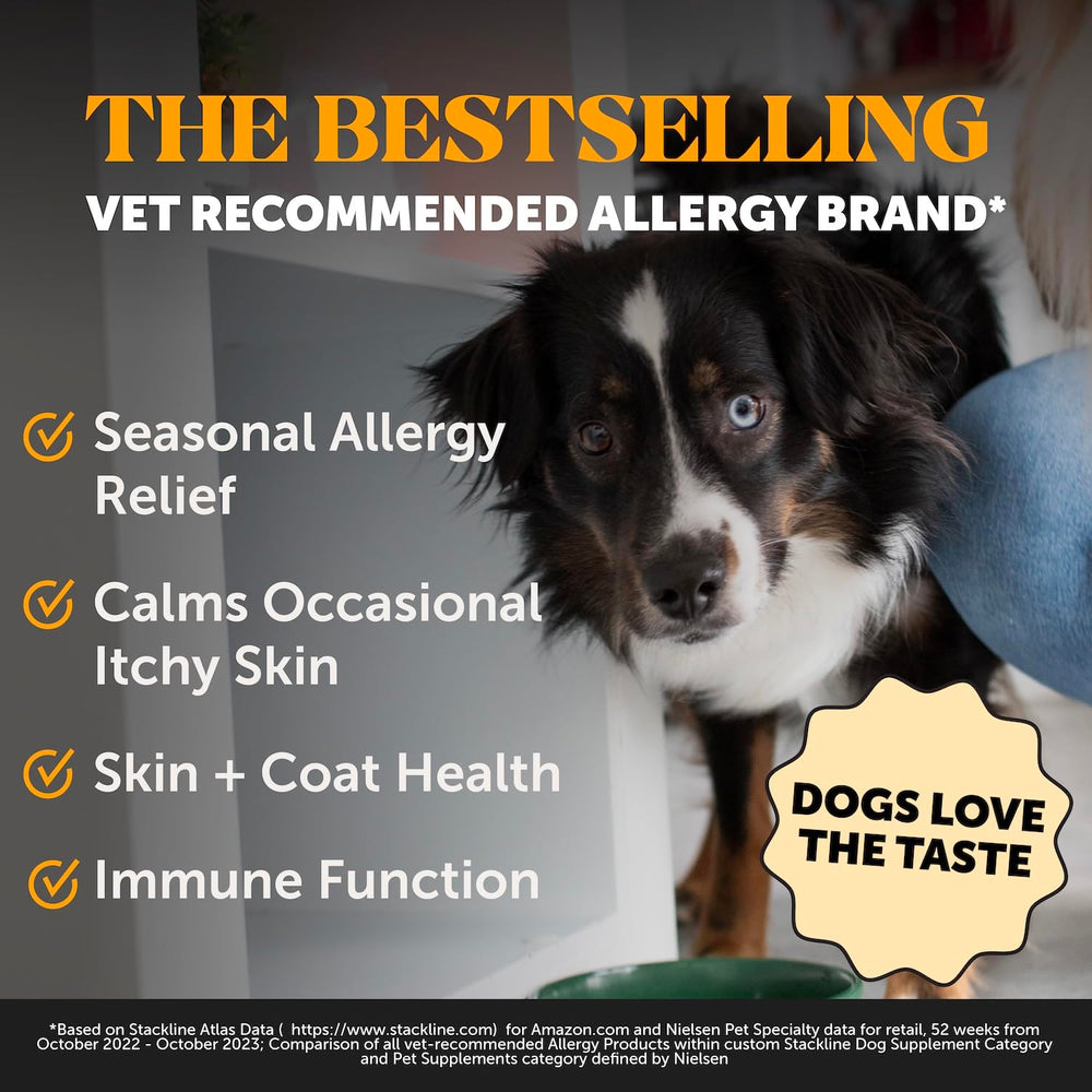 Pet Honesty huile saumon pour chien - verser sur croquettes pour peau saine.