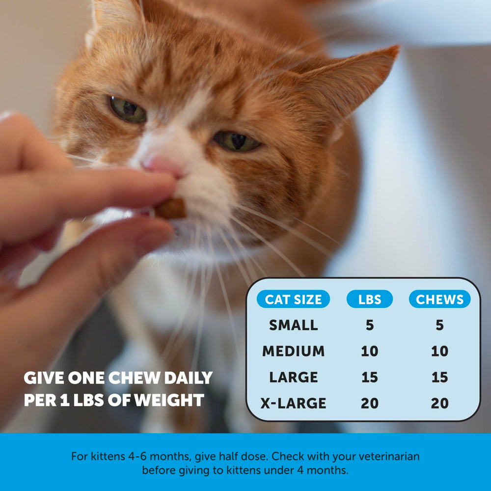 Pet Honesty Ingrédients naturels pour chat