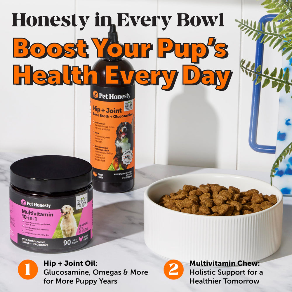 Pet Honesty MSM soutien articulation, peut aider à bouger avec plus de confort.