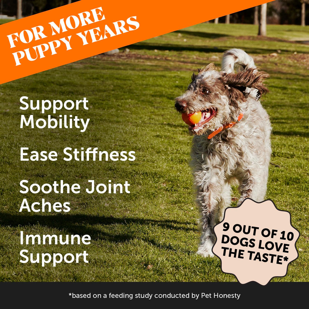 Pet Honest omega-3 poisson huile : soin du pelage et des articulations.