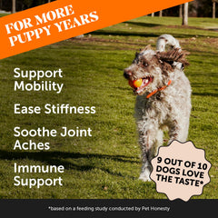 Pet Honest omega-3 poisson huile : soin du pelage et des articulations.
