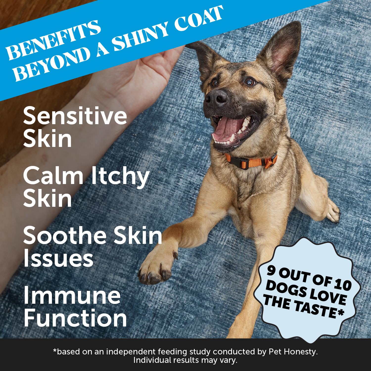 Aperçu des ingrédients Pet Honesty Omega Skin Health favorisant peau et pelage nourris.