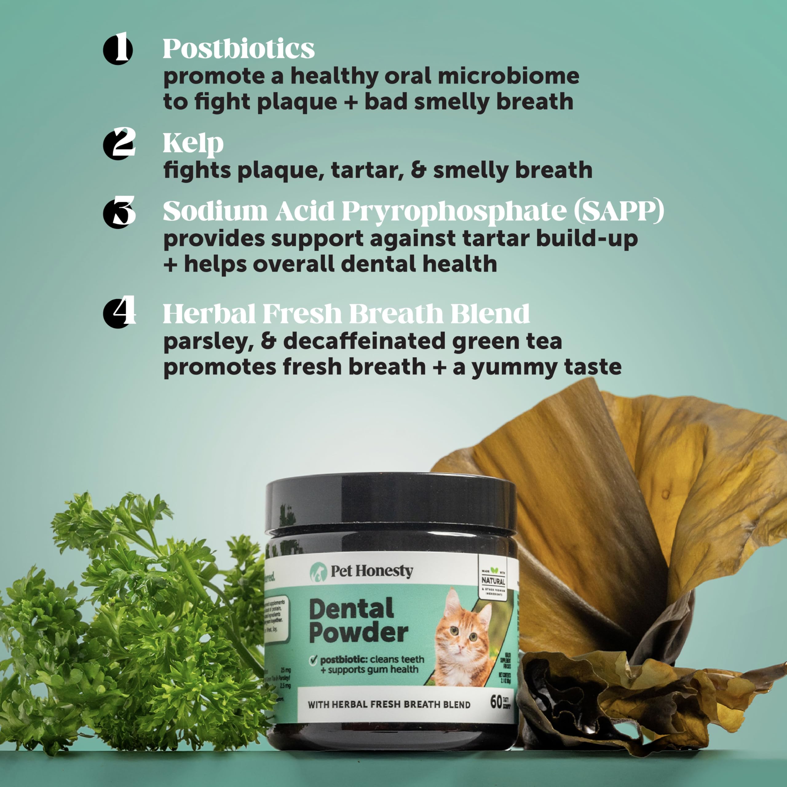 Pet Honesty Poudre Dentaire Chat – dents plus brillantes et propres.