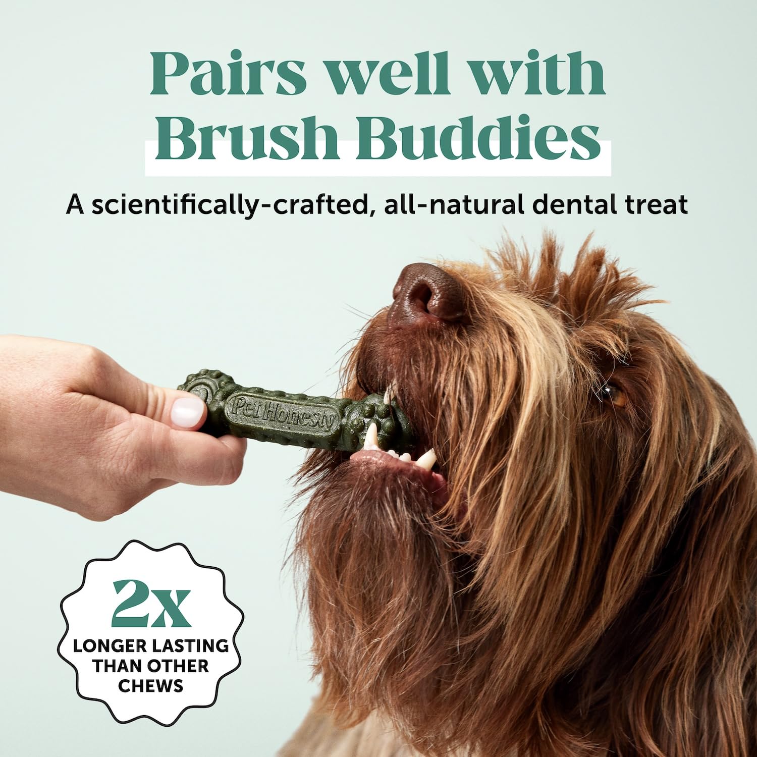 Poudre Pet Honesty – contrôle potentiel du tartre grâce à des ingrédients naturels.