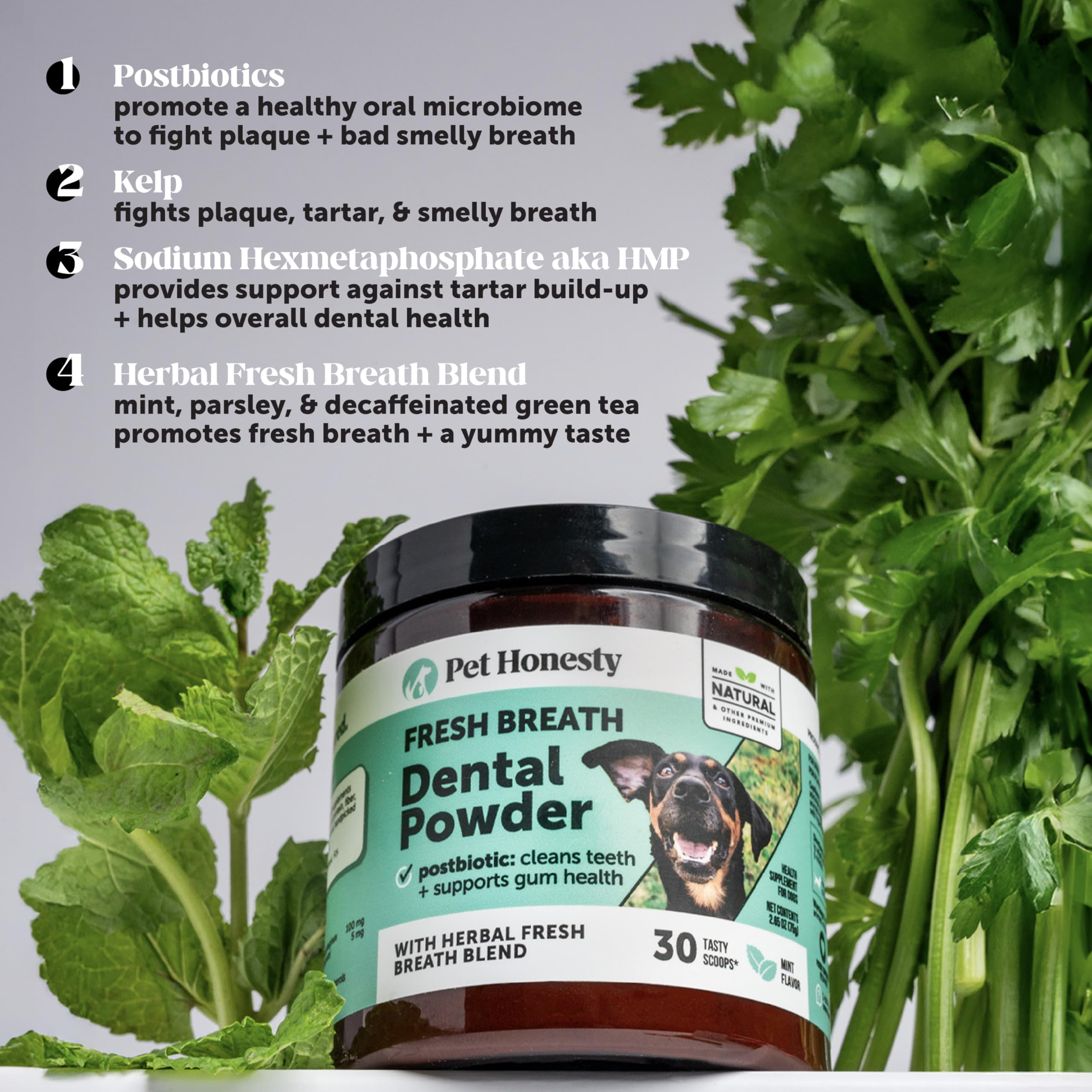 Arôme menthe de la poudre Pet Honesty pour haleine plus fraîche.
