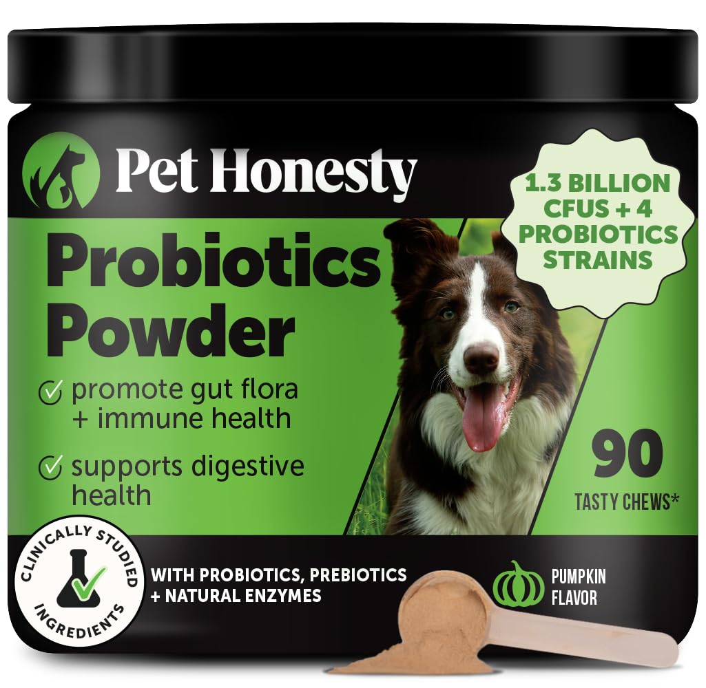 Pet Honesty poudre probiotiques citrouille en sachet, ajout rapide au repas.