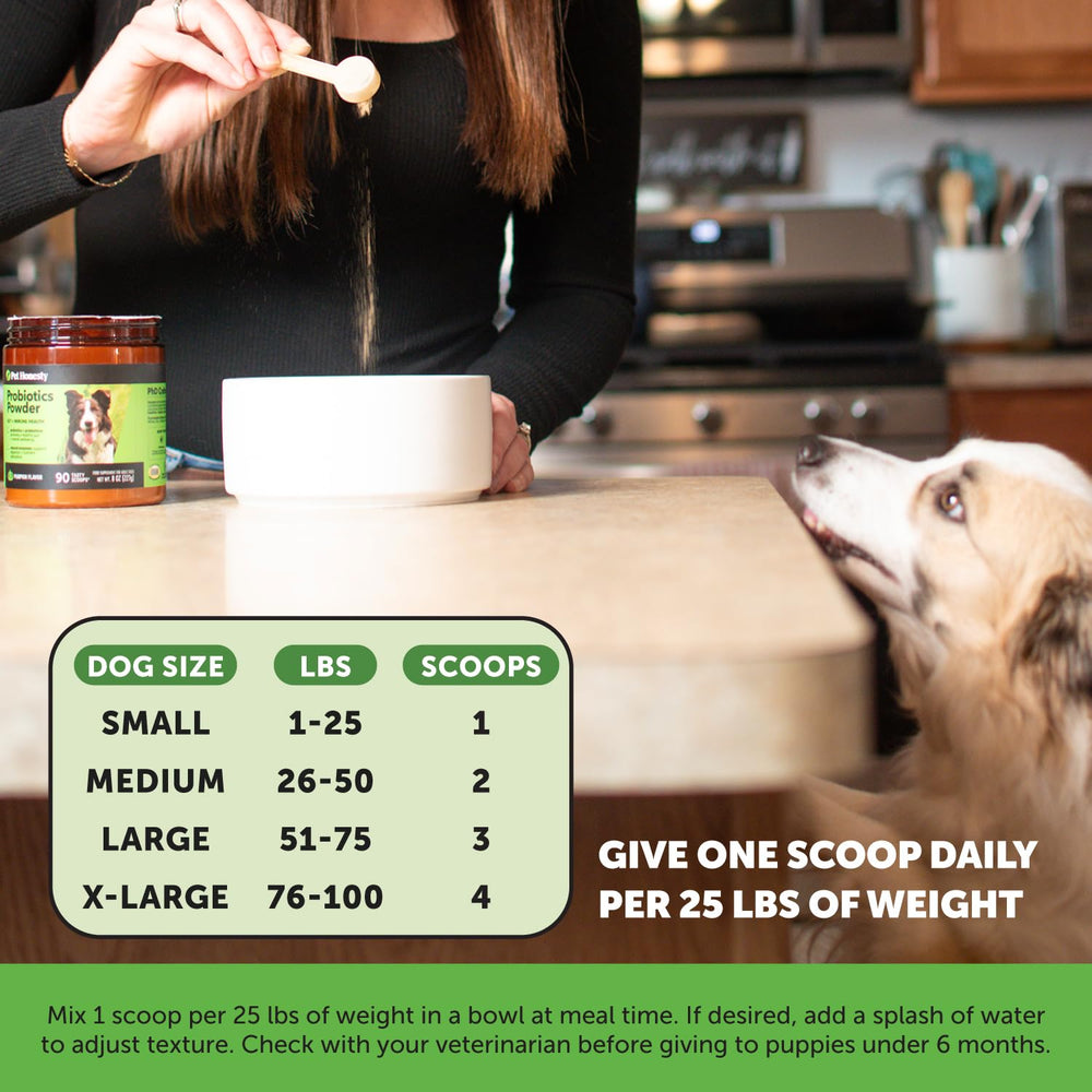 Pet Honesty protéines et vitamines dans la poudre, soutien nutritionnel.