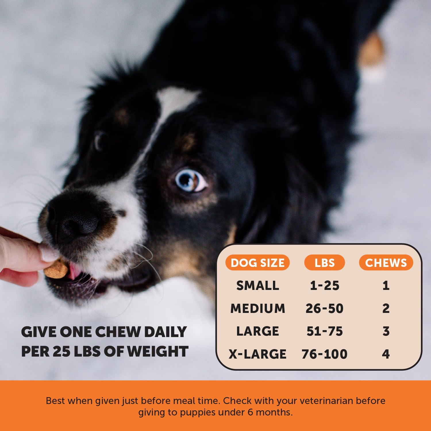 Pet Honest saveur potiron coco : goût apprécié par les chiens.