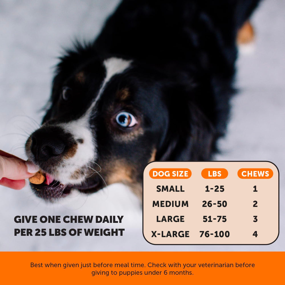 Pet Honest saveur potiron coco : goût apprécié par les chiens.