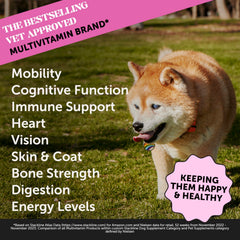 Pet Honesty Senior Dog Multivitamin – friandises au goût canard, faciles à donner.