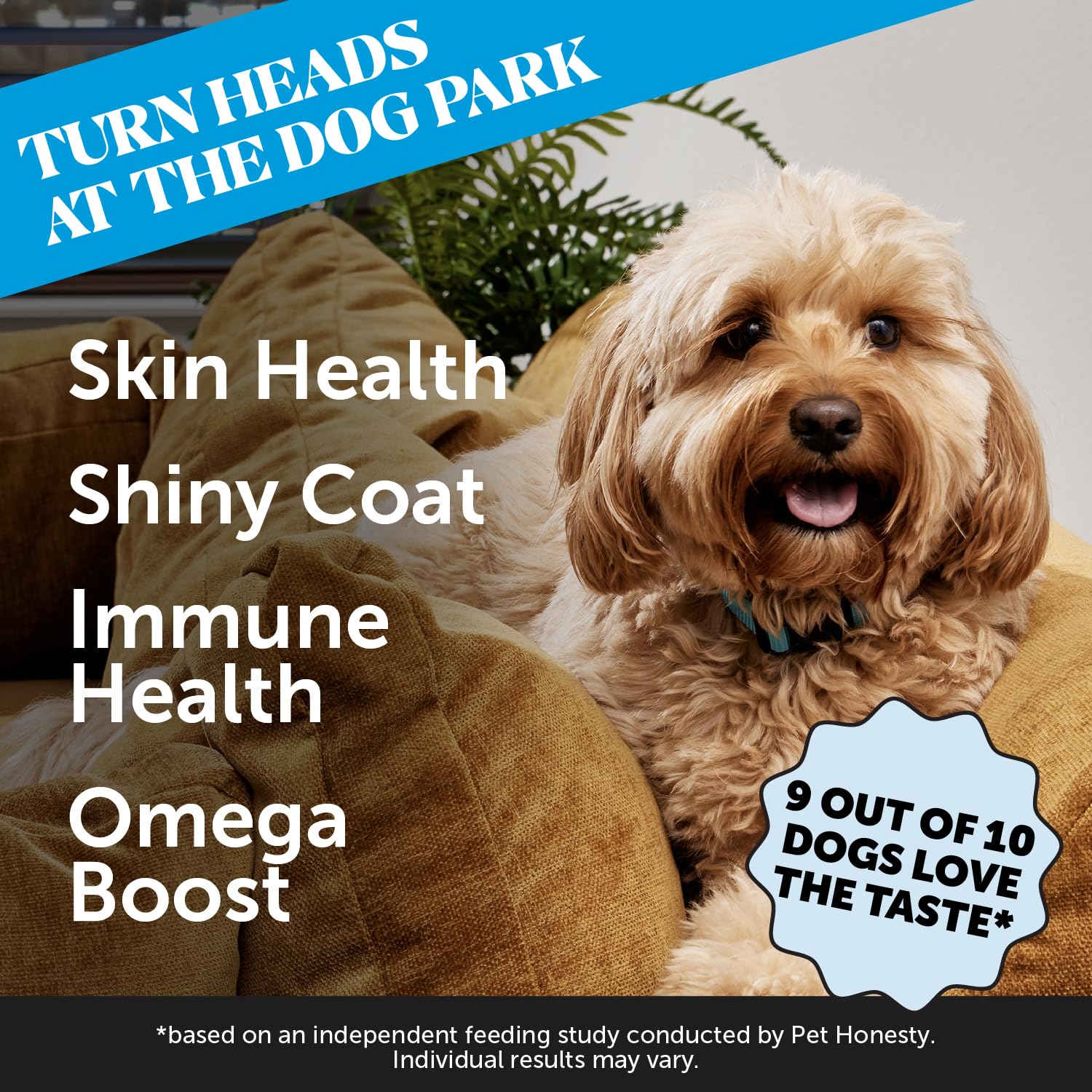 Pet Honesty Skin Health friandises saumon – boite de 90 pièces.