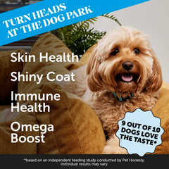 Pet Honesty Skin Health friandises saumon – boite de 90 pièces.