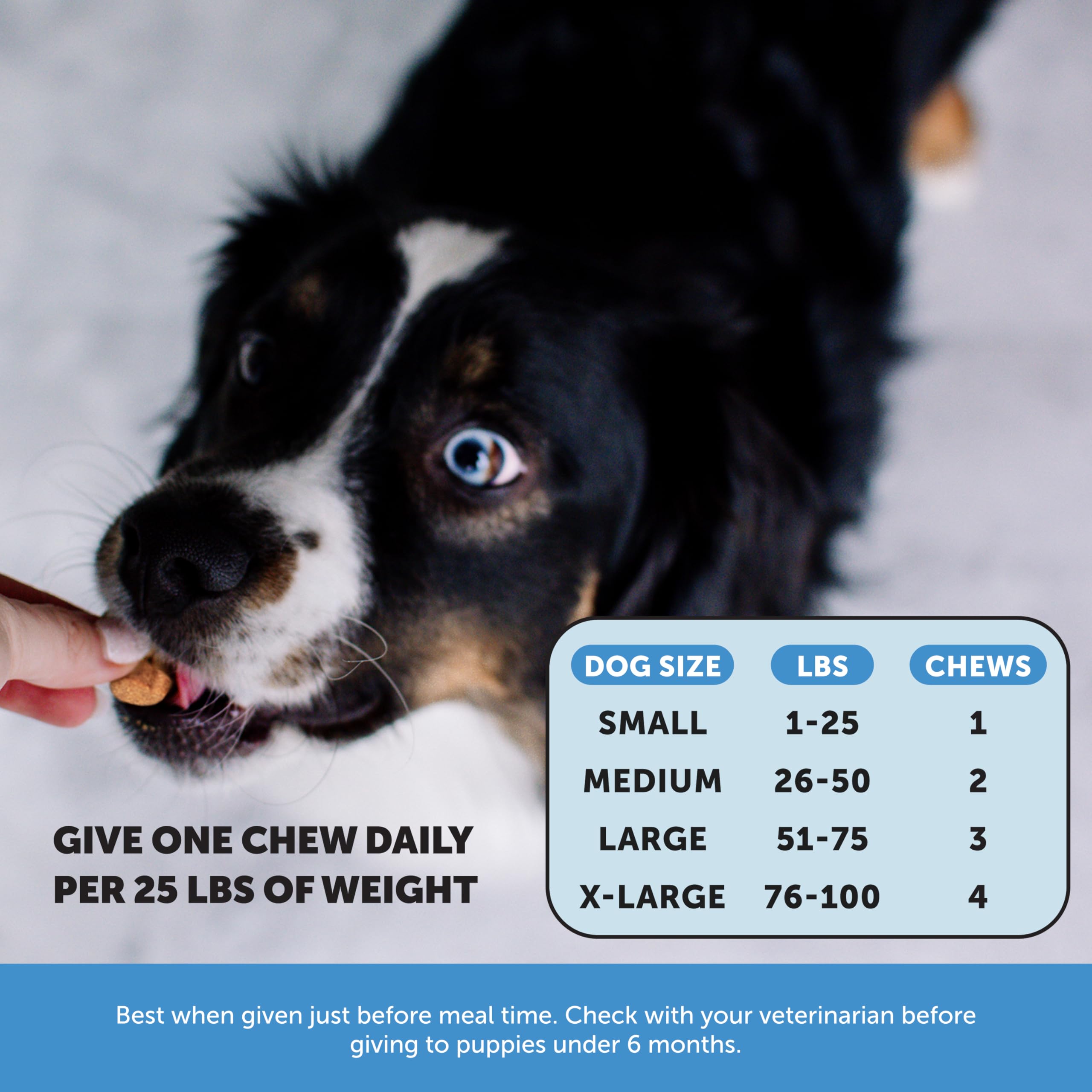 Ingrédients Pet Honesty Skin Health riches en oméga-3 pour pelage.