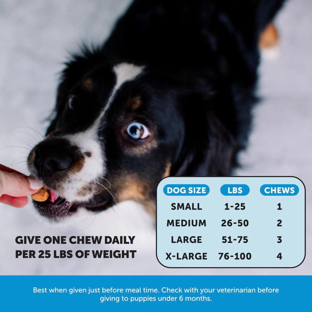 Ingrédients Pet Honesty Skin Health riches en oméga-3 pour pelage.
