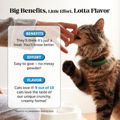 Pet Honesty Vitamines C et E pour pelage sain du chat