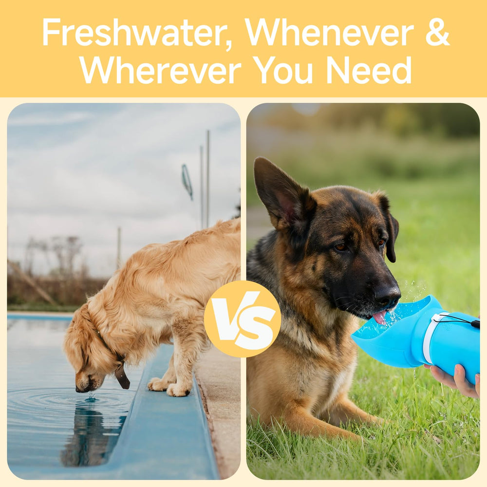 Gourde PET Hous en silicone alimentaire sans BPA pour chiens.